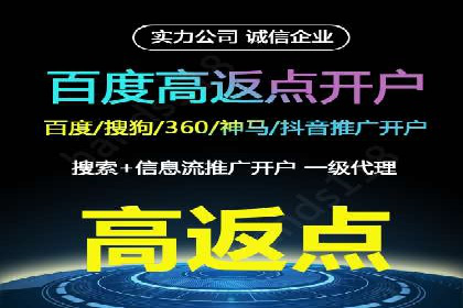 搜索引擎推广的佼佼者——百度搜索推广案例